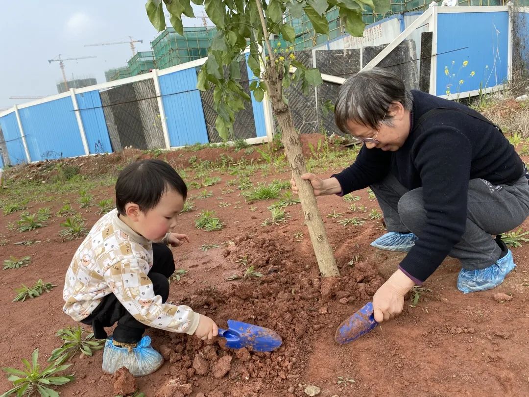 亲子植树活动回顾：种下希望，茁壮成长