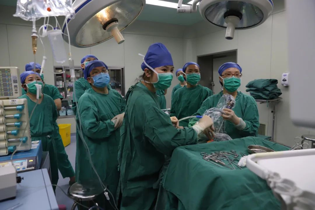 江西省儿童医院跨院合作成功为脑膜脑膨出患儿手术，创全国该手术最低年龄