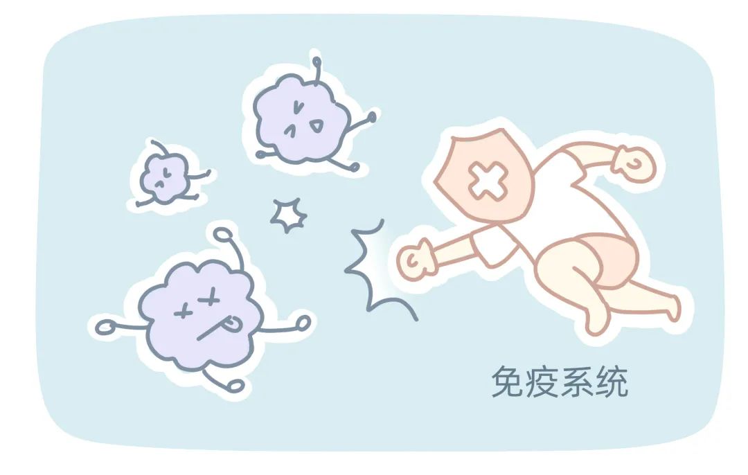 HPV 的 5 大真相，接种疫苗前必看