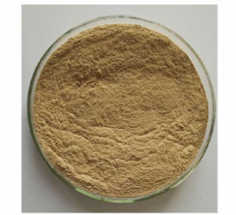 微生物菌种管理的具体步骤方法