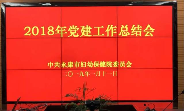 永康市妇幼保健院召开2018 年党建工作总结大会