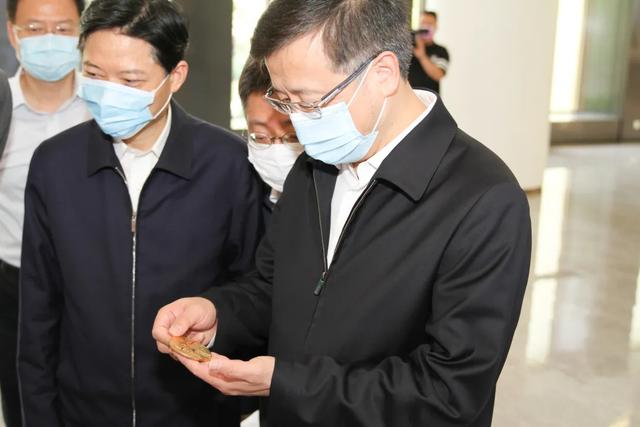 上海副市长陈寅等领导赴上海细胞治疗集团和上海孟超肿瘤医院实地考察