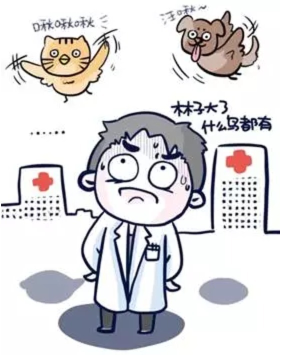 如何一句话回答患者的「天真」问题