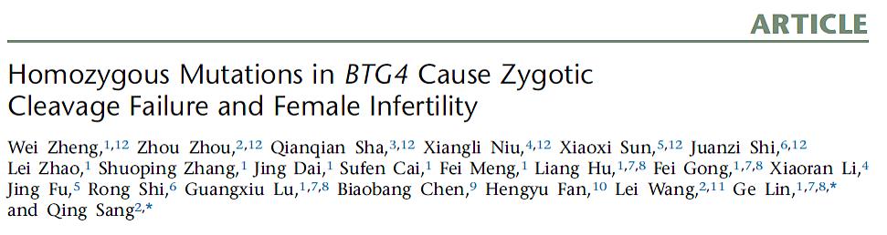 中信湘雅-复旦大学强强联合 国际首次报道受精卵分裂失败的致病机制