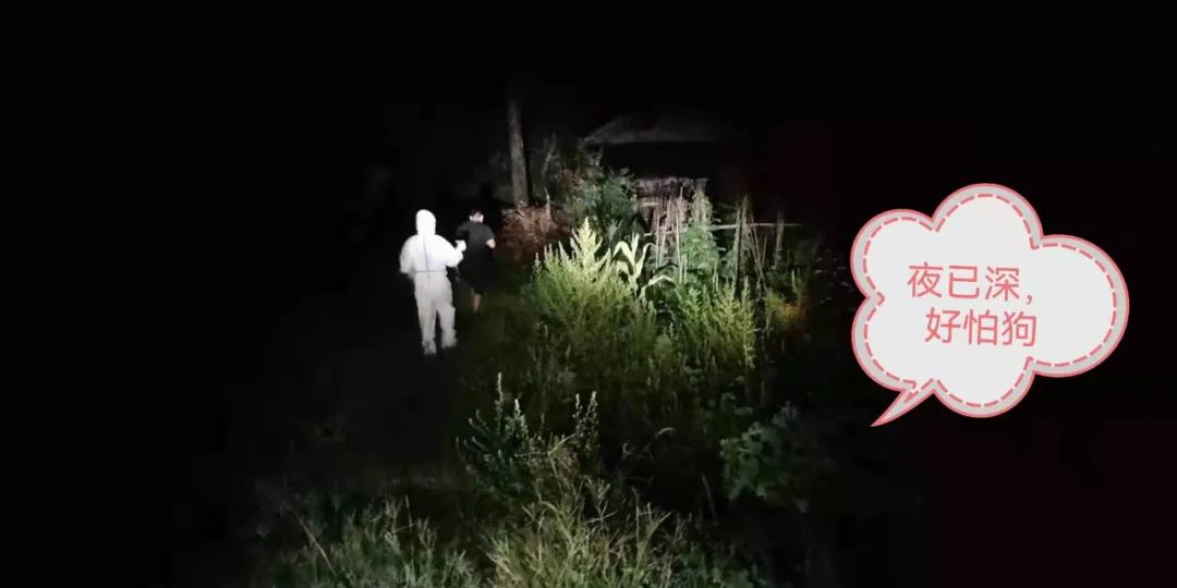 常德市第四人民医院：4 名逆行天使在张家界战斗的日子