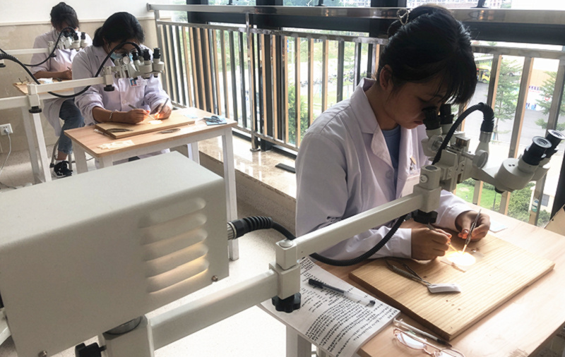『教学医院』显微外科实验培训，培养精准医疗技术人才