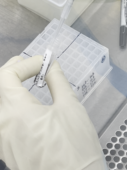 重庆北部宽仁医院：别顾着催核酸报告啦！ 来看看你的标本到哪一步检验流程了