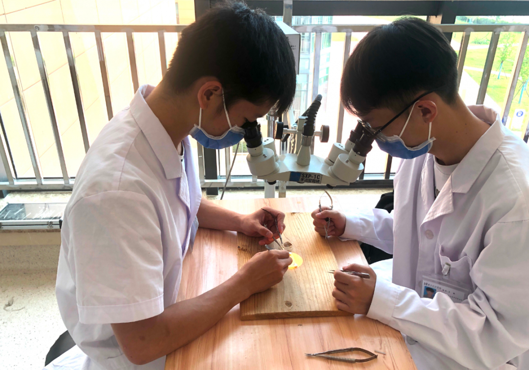『教学医院』显微外科实验培训，培养精准医疗技术人才
