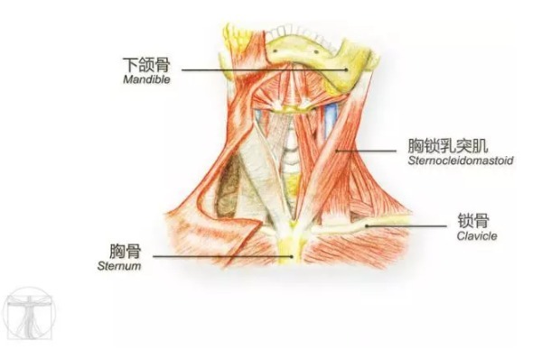 其实，画图是每一个医生的必修课
