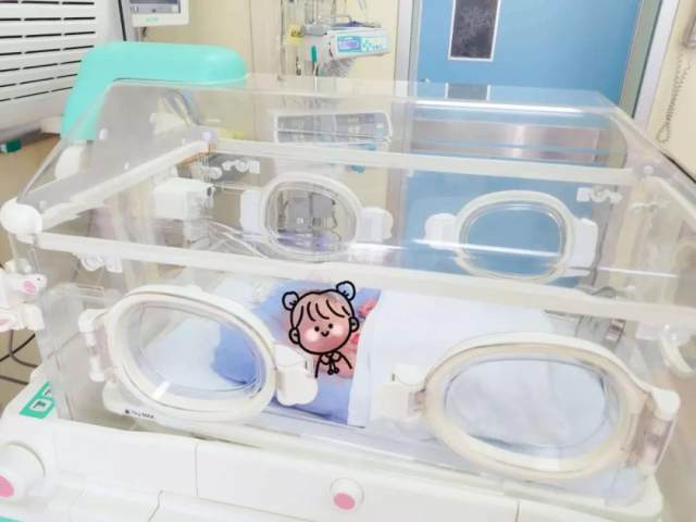 「植物」妈妈平安产女！浙大四院多学科合作抢救车祸孕妇，再创生命奇迹！