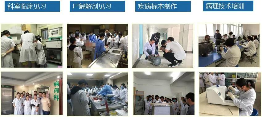 桂林医学院临床医学院（附属医院）病理学被认定为首批国家级一流本科课程