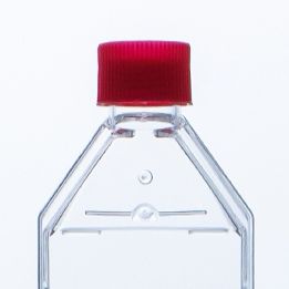 MC803075 T75细胞培养瓶, 75cm²，透气盖，等离子处理