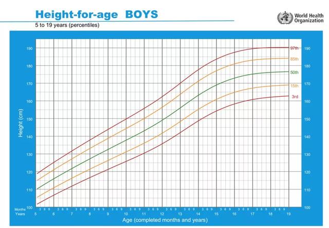 宝宝能长多高？TA 的「曲线」知道！