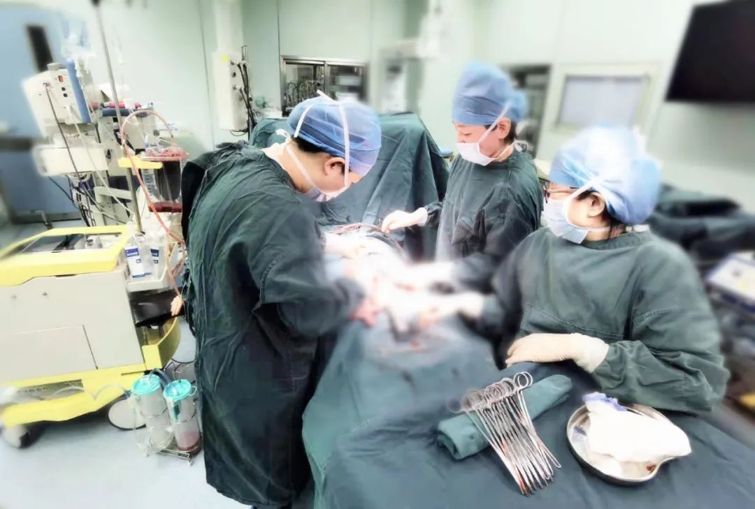 杭州一产妇血流如「自来水」，医生用自体血回输技术救回一命！