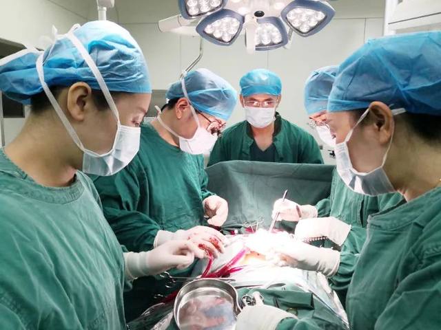 妊娠 15 周的孕妇须做心脏手术，孕妇和胎儿安全是一场生死考验……