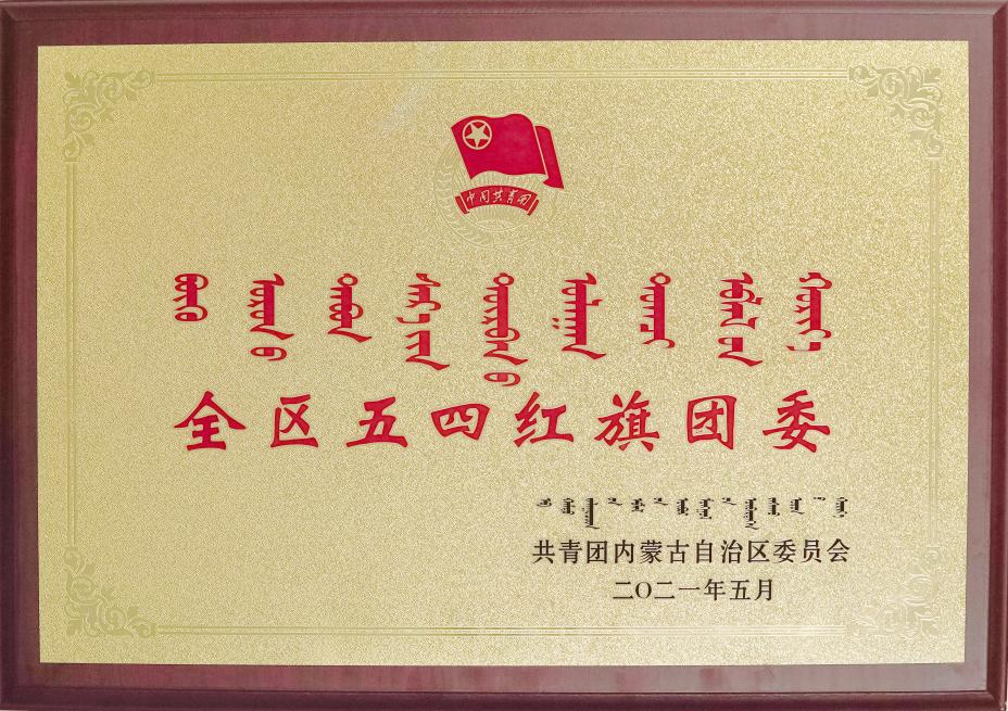 共青团赤峰市宁城县中心医院委员会荣获「全区五四红旗团委」荣誉称号