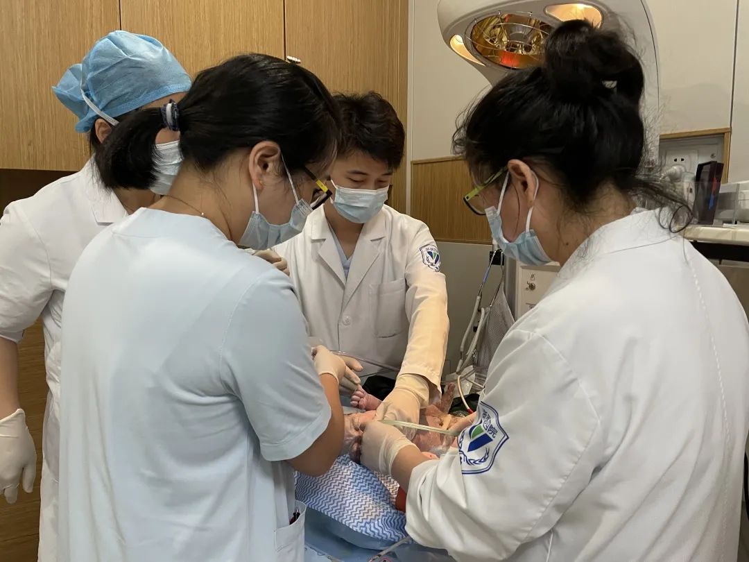 浙江大学医学院附属第四医院成功开展浙中首例新生儿膈疝手术
