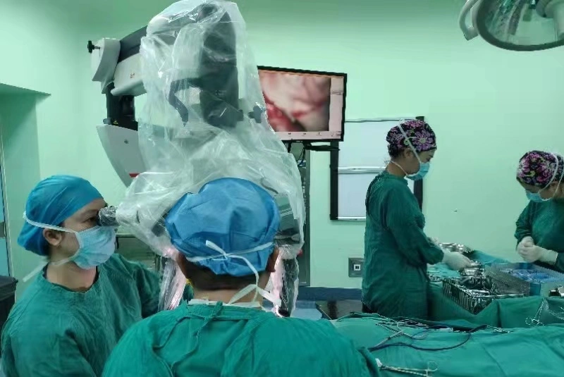 外耳道寄居「新生物」？耳鼻喉科清道夫出动