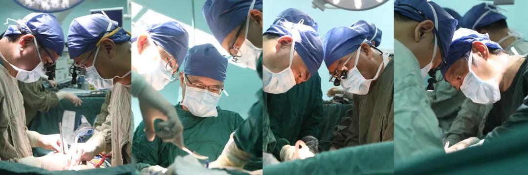 元旦假期，树兰（杭州）医院奋战14 台器官移植手术