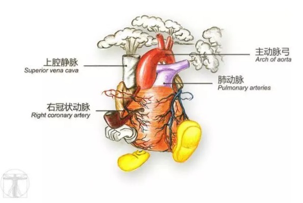 其实，画图是每一个医生的必修课