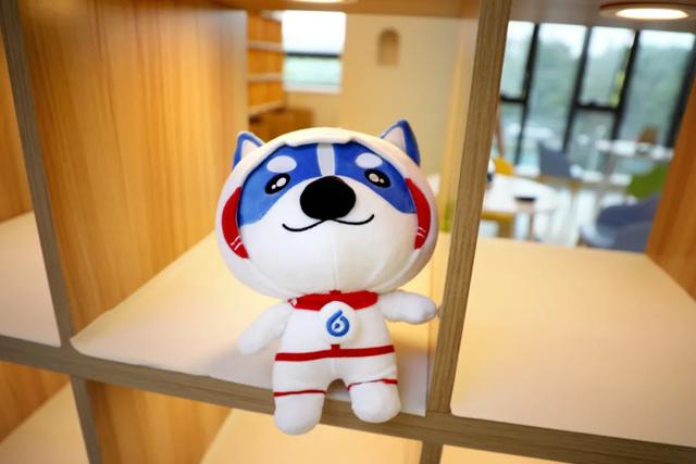 贝瞳少儿眼健康乐园登陆青浦!