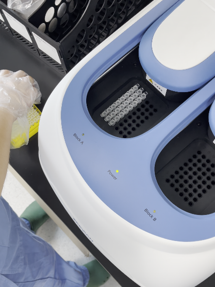 重庆北部宽仁医院：别顾着催核酸报告啦！ 来看看你的标本到哪一步检验流程了