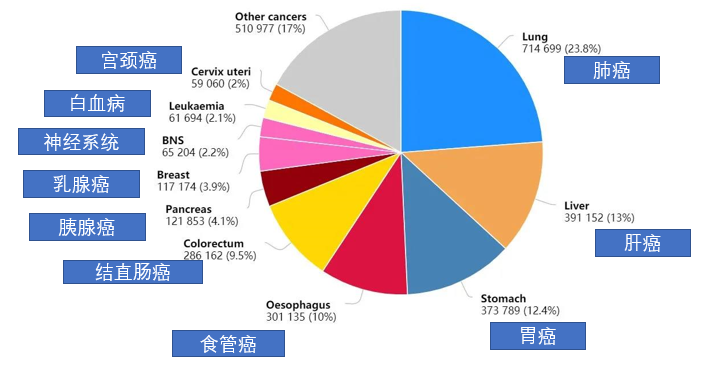 进来抄作业！你想要的全身重疾早筛来了