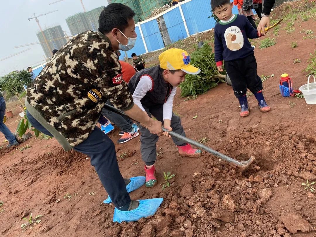 亲子植树活动回顾：种下希望，茁壮成长