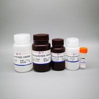 CFAS any KD PAGE 蛋白电泳凝胶制备试剂盒I型