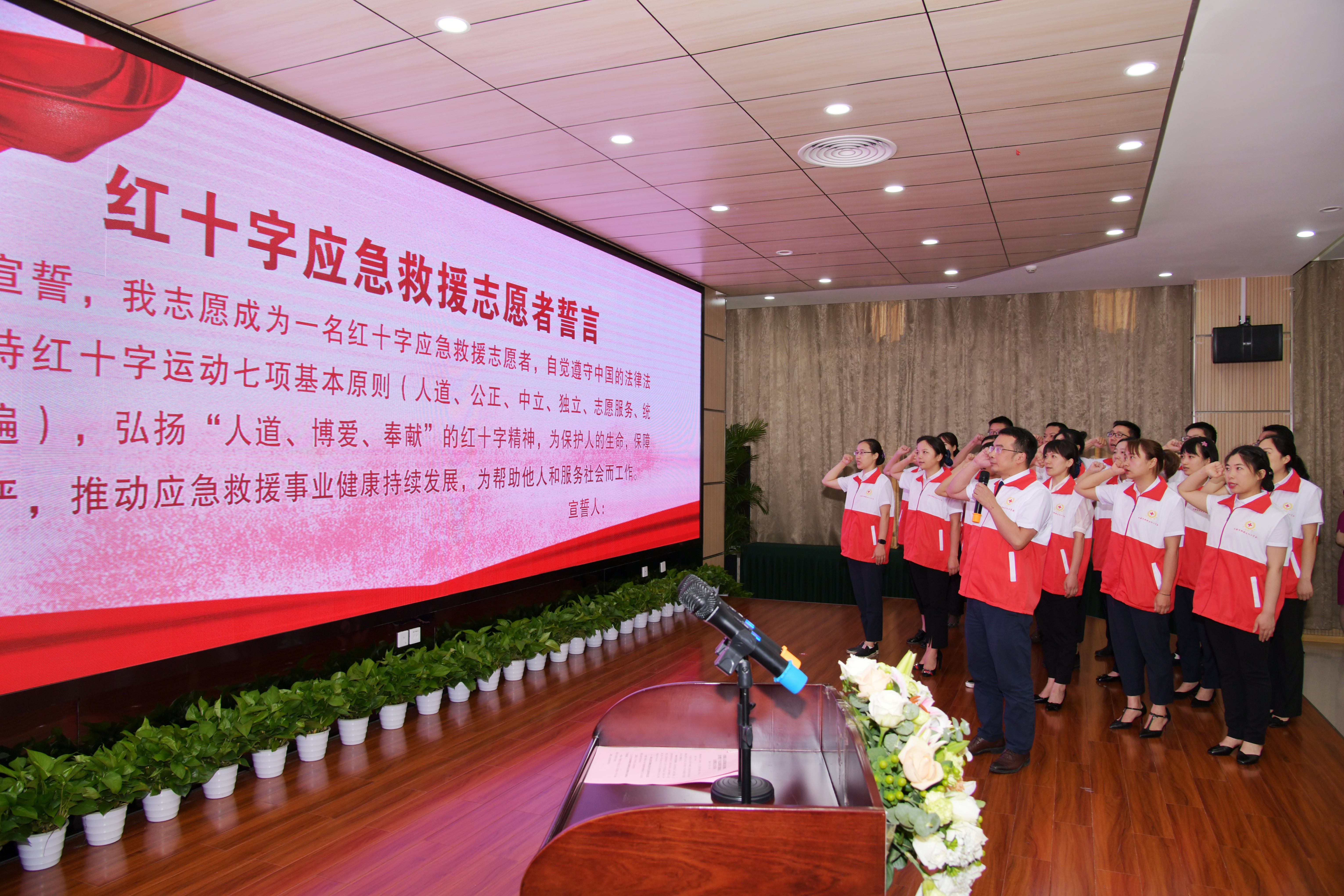 红色领航，医心向党