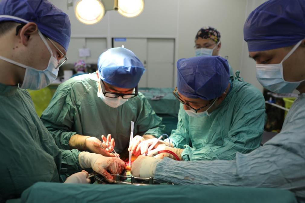 24 厘米、6 斤，重庆西南医院多学科合作，成功为患者切除巨瘤