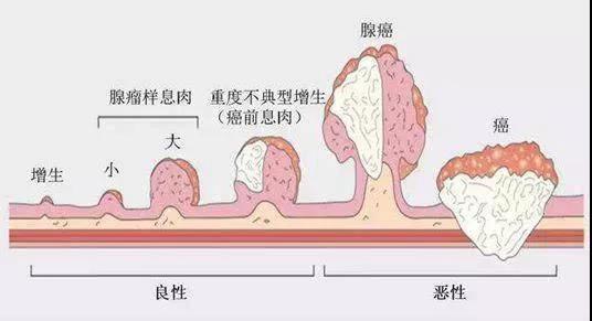 微信图片_20200612163547.jpg