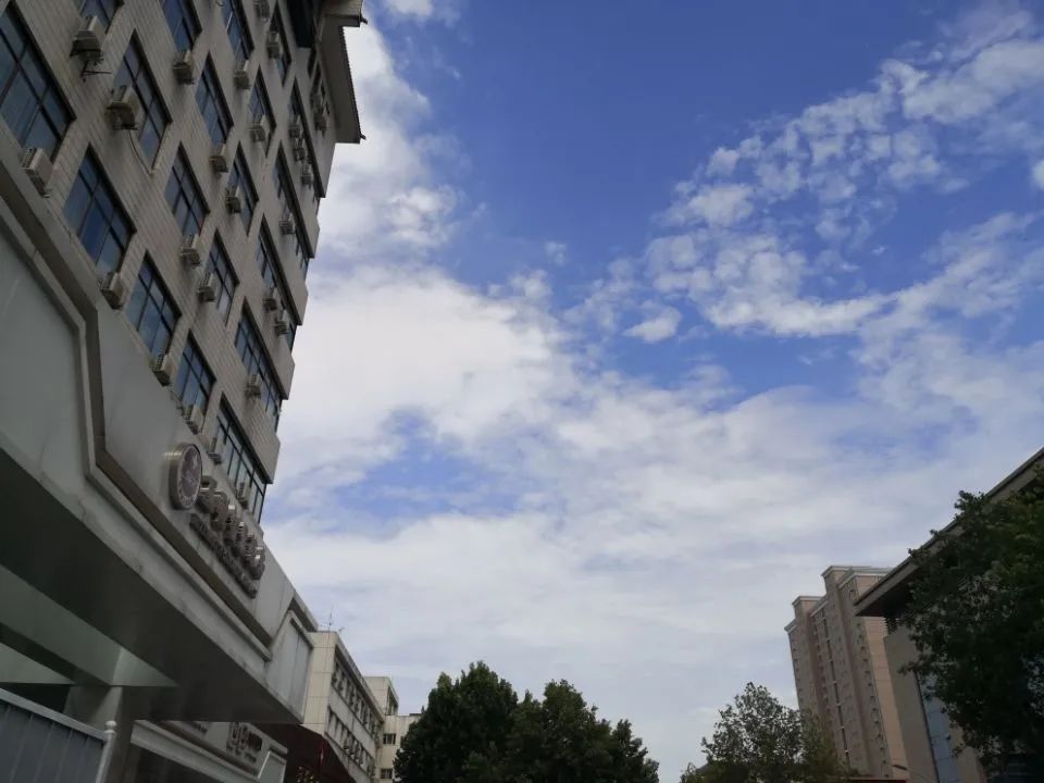 一天 239 个病人、警车紧急开道、深夜抢救…… 他们的假期太不一样