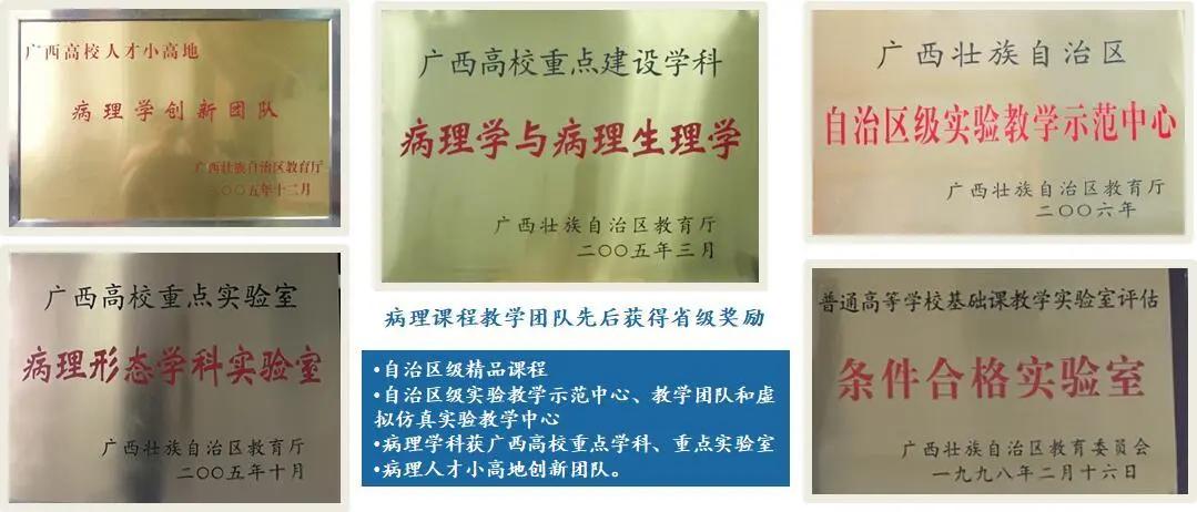 桂林医学院临床医学院（附属医院）病理学被认定为首批国家级一流本科课程