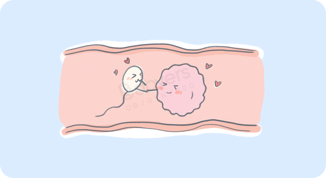输卵管堵塞会造成什么后果？