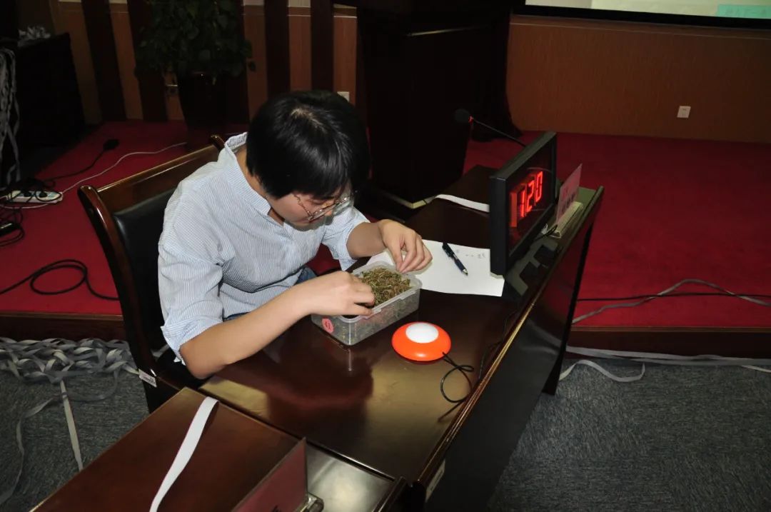 蓟州区人民医院药学部刘盼盼荣获第六届中药专业「岗位练兵 技术比武」决赛二等奖