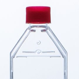 MC803025  T25细胞培养瓶，25cm²，透气盖 ，等离子处理