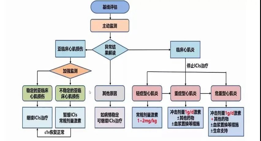 多学科齐聚，探讨免疫检查点抑制剂相关心脏损害