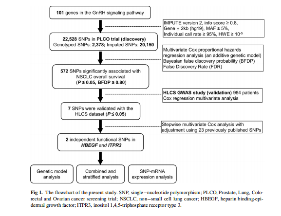 河南省肿瘤医院最新研究成果:有望预测非小细胞肺癌发生和患者预后生存