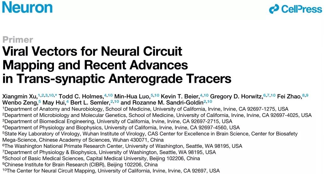 【知识窗】标记神经环路的病毒载体和跨突触示踪剂的进展