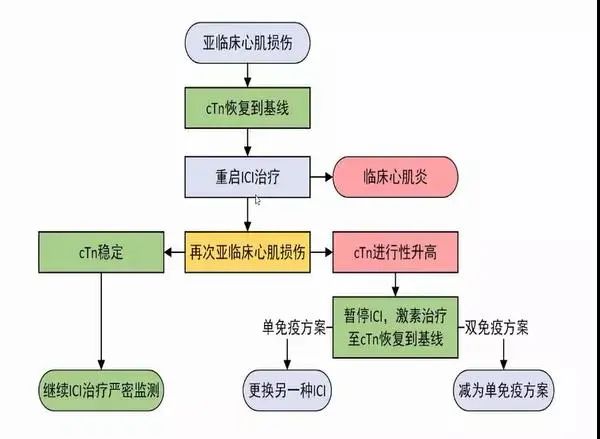 多学科齐聚，探讨免疫检查点抑制剂相关心脏损害