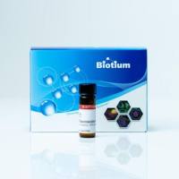 荧光胺 Fluorescamine  90092