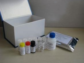 基质金属蛋白酶7ELISA试剂盒免费代测