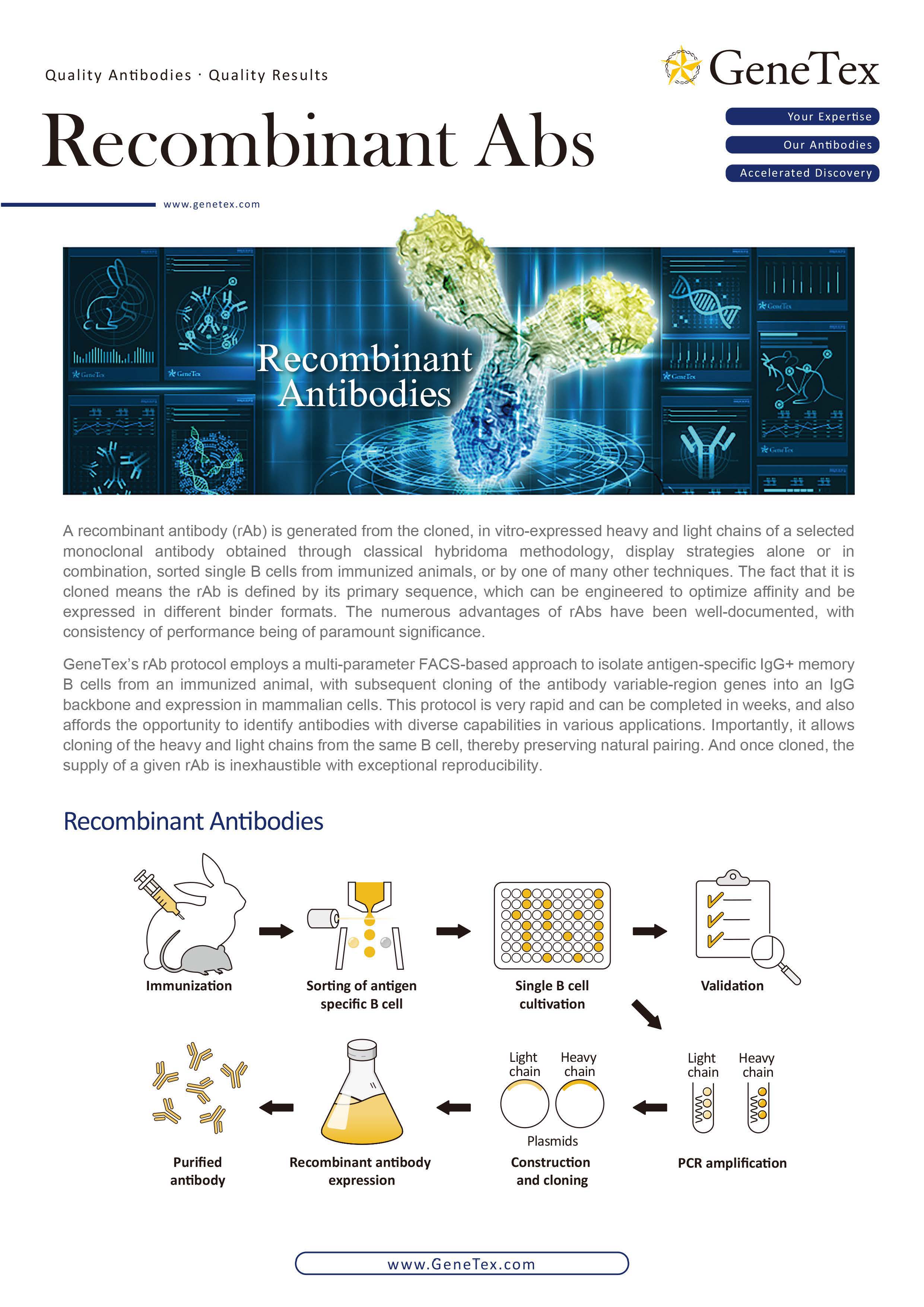 GeneTex-重组抗体