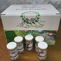 人6磷酸果糖2激酶；果糖-2,6-二磷酸酶3（PFKFB3）试剂盒（ELISA）