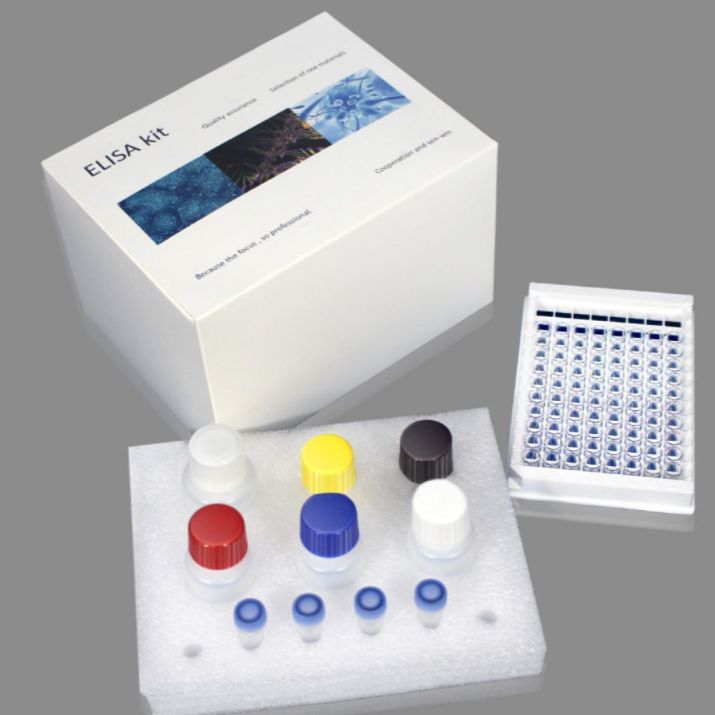 人乳头状瘤病毒抗体IgG(HPV-IgG)ELISA试剂盒 产品图