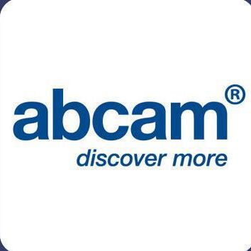 Recombinant human ErbB 2 protein 