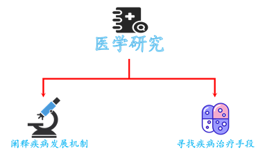 医学研究 都是套路（一）