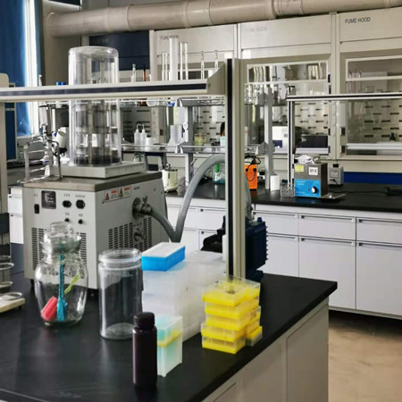 人可溶性凝集素样氧化低密度脂蛋白受体1(sLOX-1)ELISA试剂盒