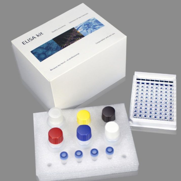 人早老素2(PS-2)ELISA试剂盒 